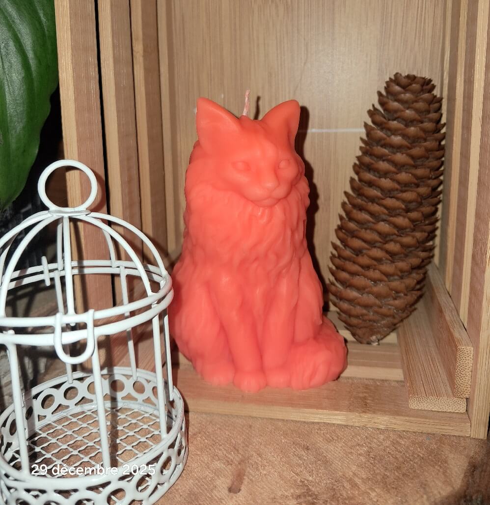 Bougie artisanale orignale en forme de chat orange, design élégant et zen. Idée cadeau pour amoureux des chats et décoration d'intérieur cocooning.