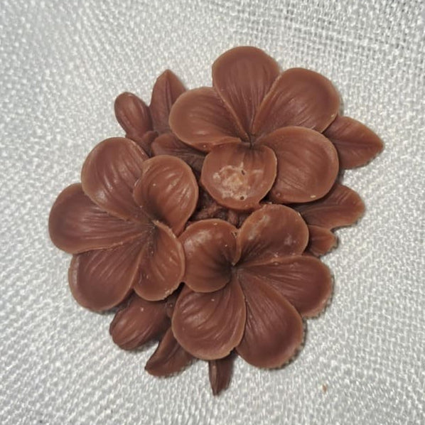 Grand fondant parfumé en forme de fleur de frangipanier sculptée, poids 18g, fabriqué artisanalement en cire végétale pour diffuseur de parfum.
